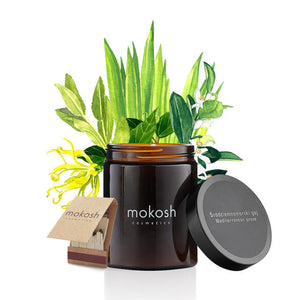 Plant soy candle Mediterranean grove